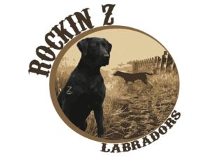 Rocking Z Labradors