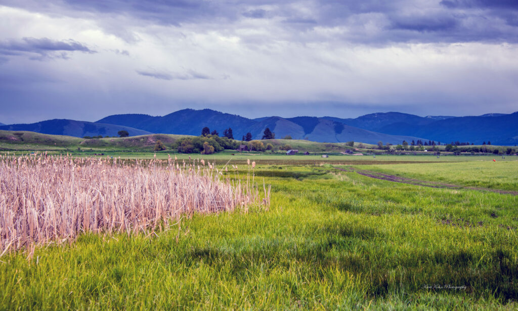 Grass Valley Farms Missoula Montana